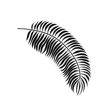 Tropikal yaprak. Tropik bir yaprağın siyah silueti. Beyaz bir arkaplanda izole edilmiş.