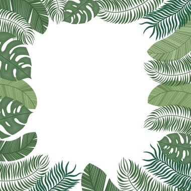 Tropikal yapraklardan yapılmış bir çerçeve. Çeşitli tropik yapraklardan yapılmış şirin bir yaz çerçevesi..
