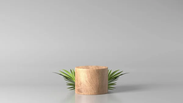 luxury brown fine wood box, block, circle podium cube green leaves in white marble background. concept scene stage showcase, product, perfume, promotion sale, wooden, presentation, cosmetic. 3D render