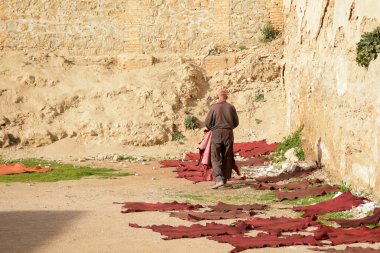 Yaşlı adam güneşte kuruması için boyalı deri parçaları dağıttı.