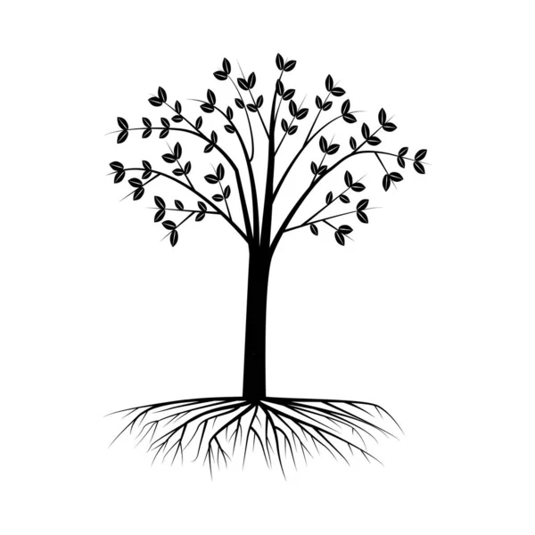 Черное Дерево Пышной Короной Корнями — стоковый вектор
