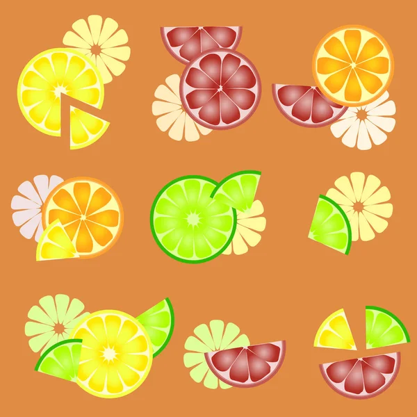 Frutas Cítricas Coloridas Diferentes Corte Fundo Laranja — Vetor de Stock