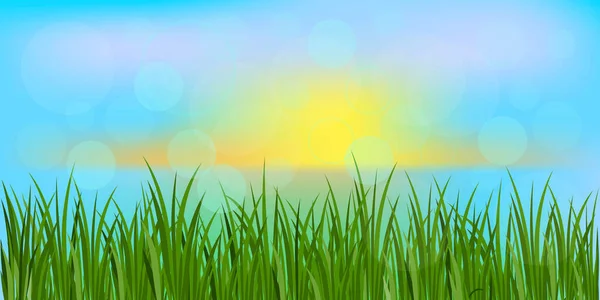 背景为绿草 蓝天晴天 夏季田园的矢量图像 — 图库矢量图片