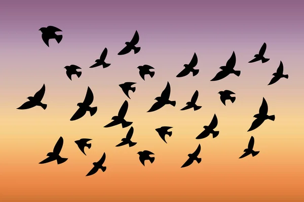 Bando Pássaros Pôr Sol Sílhueta Abstrata Vetorial Aves Voadoras Padrão — Vetor de Stock