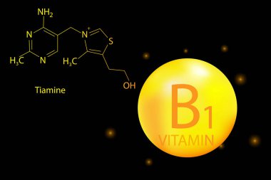 Tebeşir düğmesi ve b1 vitamini. Kalp ikonu vektörü. Magnezya kapsülü. Moleküler gıda. Vektör illüstrasyonu.