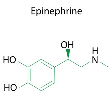 Epinefrin formülü. Kimyasal adrenalin molekülü. Moleküler yapı. Çizgi vektörü. Resim yükle.