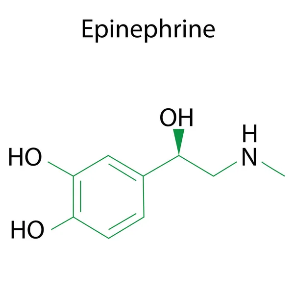 Formula Epinefrina Molecola Chimica Adrenalina Struttura Molecolare Vettore Linea Immagine — Vettoriale Stock