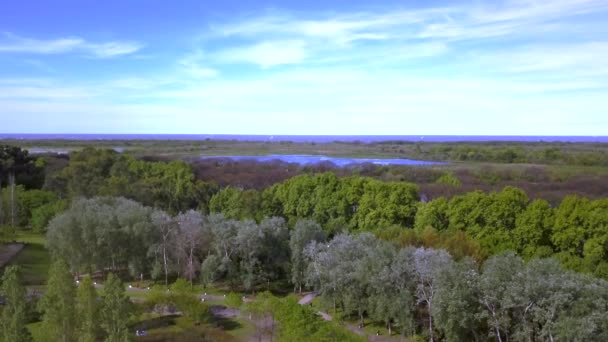 여름날 나무와 식물들 하늘을 부에노스아이레스 가운데있는 보호구역 — 비디오