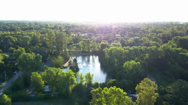 Petite Lagune Wakeboard Entourée Arbres Nature Milieu Buenos Aires — Video