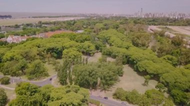 Güneşli bir günde Buenos Aires şehrinin ortasında ağaç tepesi manzarası 