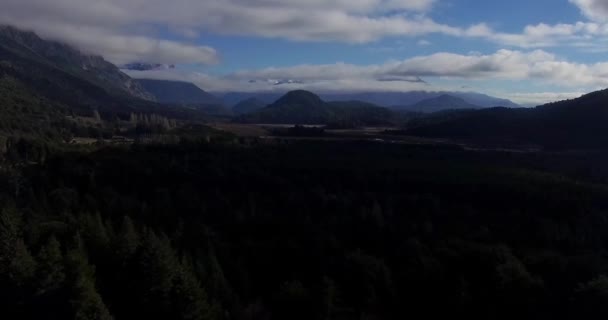 Relajante Vista Aérea Bosque Pinos Montañas Sur Patagonia Argentina Bariloche — Vídeo de stock