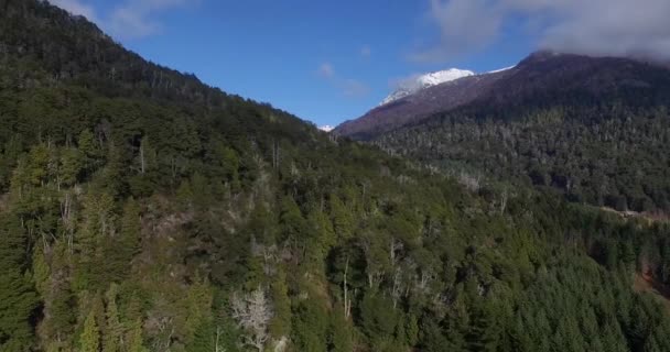 Luchtfoto Van Pijnbomen Bergen Patagonië Bariloche Met Blauwe Lucht Het — Stockvideo