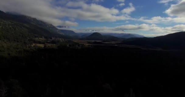 Relajante Vista Aérea Bosque Pinos Montañas Sur Patagonia Argentina Bariloche — Vídeo de stock