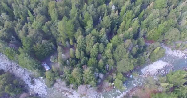 Bariloche Arjantin Patagonya Daki Bir Çam Ormanının Etrafındaki Küçük Bir — Stok video