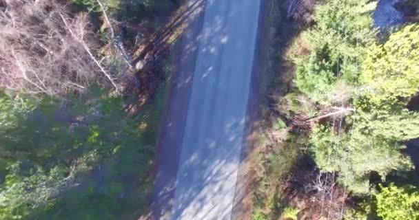 秋にバリローチェ パタゴニア アルゼンチンでオートバイに乗る人格を持つ道路 — ストック動画