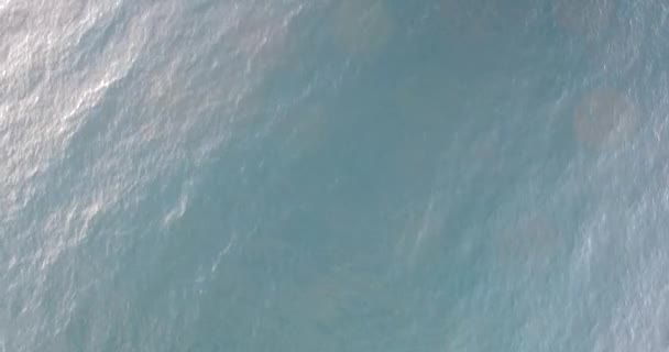 バリローチェ パタゴニアのナウエル フアピ湖の水の眺め — ストック動画