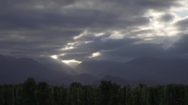 Szőlőültetvények Uco Völgyben Város Mendoza Argentína Egy Felhős Tavaszi Napon — Stock videók