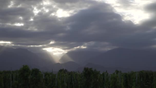 Szőlőültetvények Uco Völgyben Város Mendoza Argentína Egy Felhős Tavaszi Napon — Stock videók