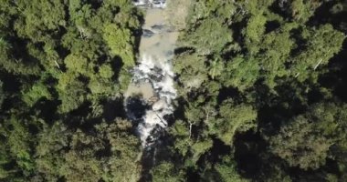 Misiones Arjantin ormanlarında bir şelale.