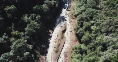 Misiones Arjantin 'de ormanın ortasında bir nehir. Ağaçlar, bitkiler ve bir sürü faunayla çevrili..