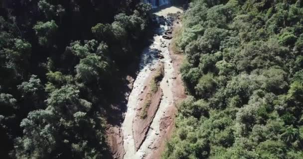 Ένα Ποτάμι Στη Μέση Της Ζούγκλας Misiones Αργεντινή Περιβάλλεται Από — Αρχείο Βίντεο