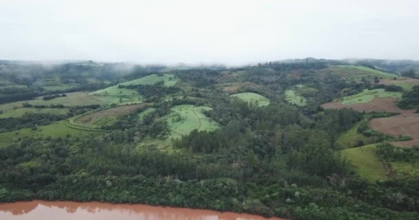 Vista Aérea Hermoso Triste Paisaje Con Los Fauna Árboles Misiones — Vídeo de stock