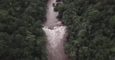 Misiones Arjantin ormanlarında bir şelalenin nehir yatağı.