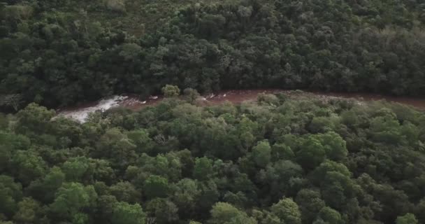 Flod Mitt Djungeln Misiones Argentina Omgiven Träd Växter Och Mycket — Stockvideo