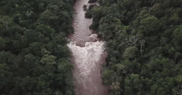 Flodbädden Ett Vattenfall Över Djungeln Misiones Argentina — Stockvideo