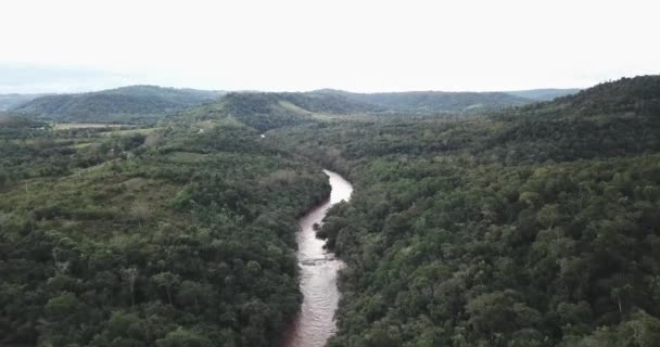 Une rivière au milieu de la jungle à Misiones en Argentine entourée d'arbres, de plantes et de beaucoup de faune. Par temps nuageux 