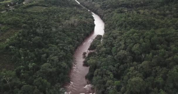 Une rivière au milieu de la jungle à Misiones en Argentine entourée d'arbres, de plantes et de beaucoup de faune. Par temps nuageux 