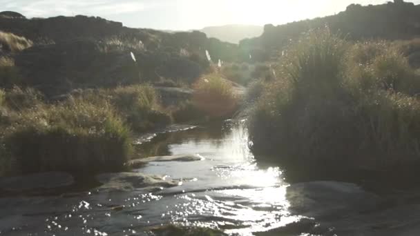 Маленький Струмок Оточений Рослинами Фауною Скелями Горами Посеред Долини — стокове відео