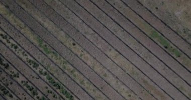 Cordoba Arjantin 'deki tarla ekinlerinin hava manzarası