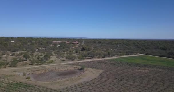科尔多瓦阿根廷农田作物犁沟的航空图 — 图库视频影像