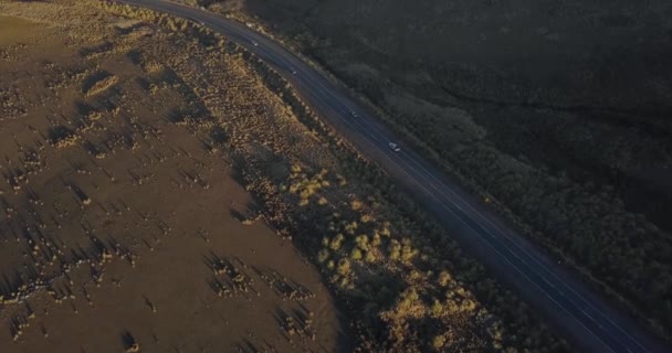 Camino Medio Estepa Día Soleado — Vídeo de stock