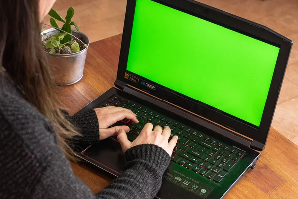 A women typing on a notebook doing home office with a green screen. With a Plant on the table