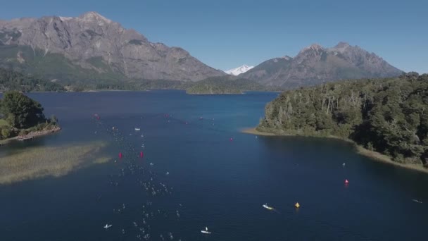 アイアンマン トライアスロン競技の水泳選手の空気ビューは晴れた夏の日にNahuel Huapi湖を横断します ボートに囲まれて — ストック動画