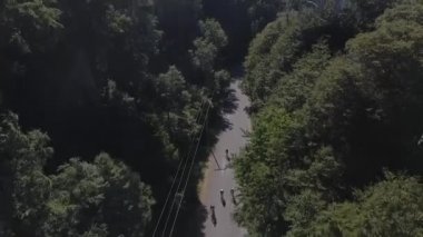 Güneşli bir yaz gününde ağaçlar ve bitki örtüsüyle çevrili Arjantin yolunda Ironman triatlonunda yarışan bisikletçi..