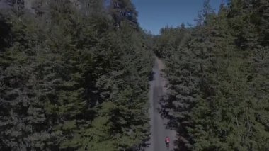 Güneşli bir yaz gününde ağaçlar ve bitki örtüsüyle çevrili Bariloche Arjantin yolunda Ironman triatlonunda yarışan bisikletçinin hava görüntüsü.