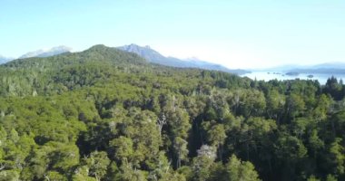 Arjantin 'in güneyindeki Bariloche' de güneşli bir yaz gününde, arkasında dağlar olan yeşil ağaç tepelerinin hava manzarası..