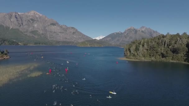 Air View Swimmers Ironman Triathlon Competition Crossing Lake Nahuel Huapi — Stock Video
