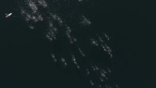 Vzdušný Pohled Plavce Triatlonové Soutěži Ironman Přes Jezero Nahuel Huapi — Stock video