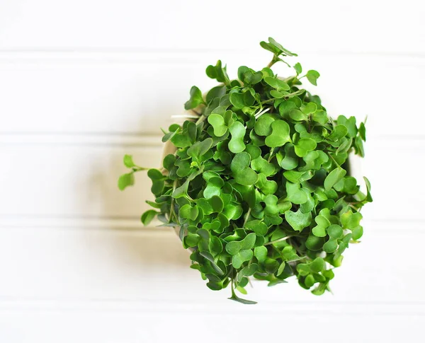 Brokkoli Microgreens Superfood Für Den Veganen Lebensstil — Stockfoto