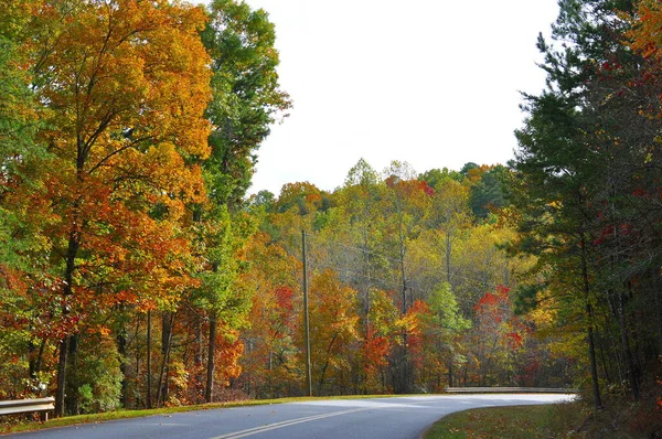 Herfst Kleuren Lijn Een Snelweg Curve Een Middag Rijden Bergen — Stockfoto