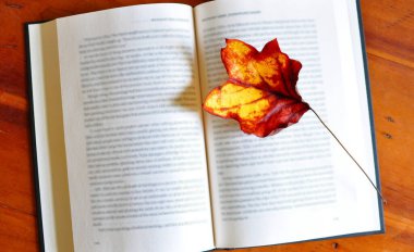 Bir kitabın sayfaları arasında sonbahar yaprakları