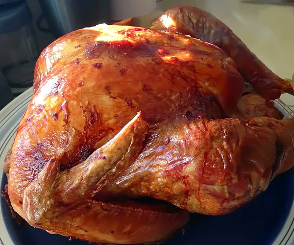 Ação Graças Turquia Fresca Forno — Fotografia de Stock