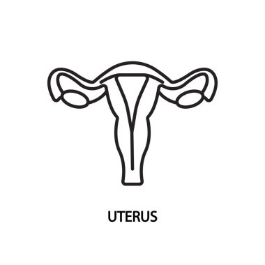 Rahim ağzı simgesi. Vektör illüstrasyon kadın üreme organı