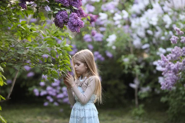 美しい若い女の子はライラックの花を探して春の庭です 青いドレスとベージュのボレロのブロンドの10代の女の子 選択的フォーカス ロックダウンアート — ストック写真