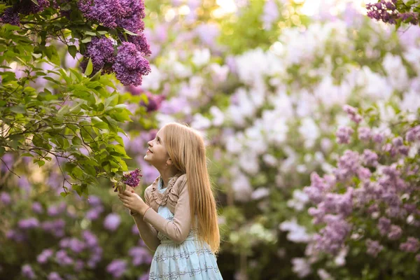 Hermosa Joven Que Mira Las Flores Color Lila Jardín Primavera — Foto de Stock