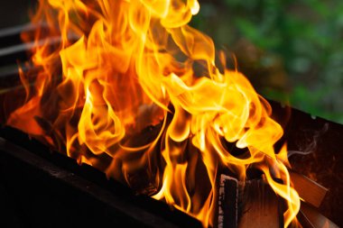 Dışarıdaki ızgarada odun var. Doğada barbekü. Piknik hazırlığı.